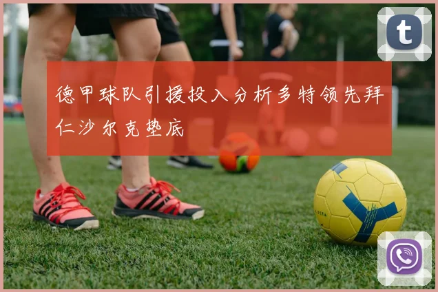 德甲球队引援投入分析多特领先拜仁沙尔克垫底