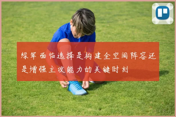绿军面临选择是构建全空间阵容还是增强主攻能力的关键时刻
